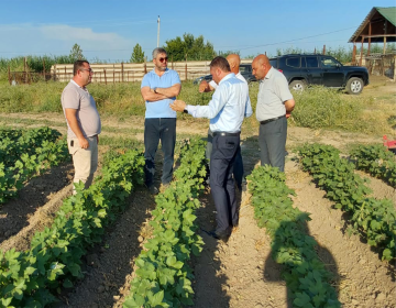"MKT İstehsalat Kommersiya" MMC-nin rəhbərliyi filiallara səfər etmişdir