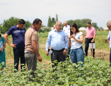 “Bu günün dəyişən iqlim şəraitində pambıqçılığın vəziyyəti, problemlər və həlli yolları” mövzusunda elmi-praktik seminar keçirilib