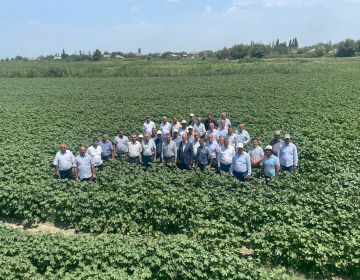 Field Meetings Held at the Branches of "MKT IK" LLC