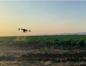 Spraying operations against the green cotton bollworm using drones have commenced in the fields