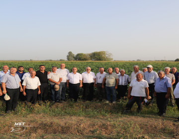 С 3 по 5 сентября 2024 года были проведены обучающие полевые встречи.