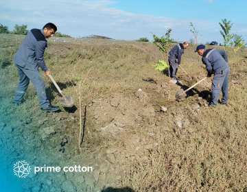 Tree planting campaigns were held at Prime Cotton branches.